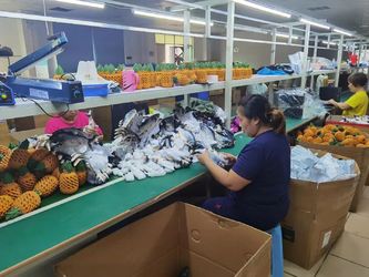 SHENZHEN BEST ONE ELECTRONICS,CO.,LTD