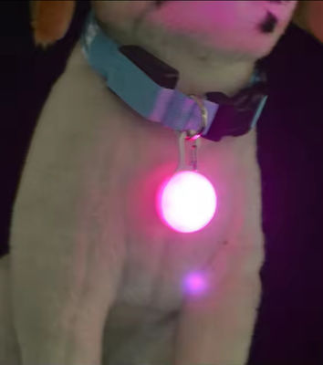 Puppy LED Flashing Pet Collar Necklace Buckle Night Flashing Safety Lights For Dogs