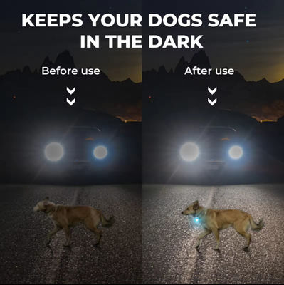 Puppy LED Flashing Pet Collar Necklace Buckle Night Flashing Safety Lights For Dogs