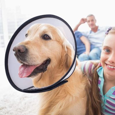 Muti Size Pet Elizabethan Collar Circle Plastic Dog Cone Collar Protective Collar