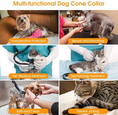 Muti Size Pet Elizabethan Collar Circle Plastic Dog Cone Collar Protective Collar