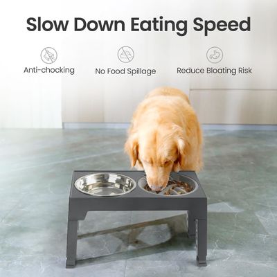 Adjustable Lifting Slow Pet Food Bowl Outdoor Elevated Dog Bowls With Stand