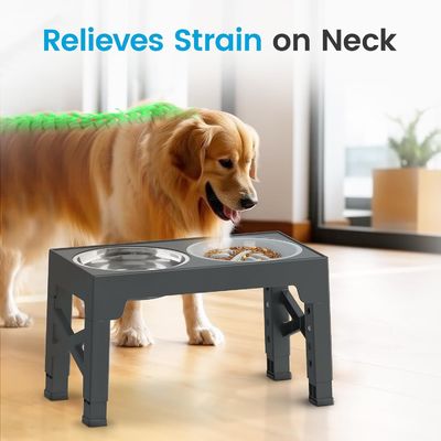 Adjustable Lifting Slow Pet Food Bowl Outdoor Elevated Dog Bowls With Stand