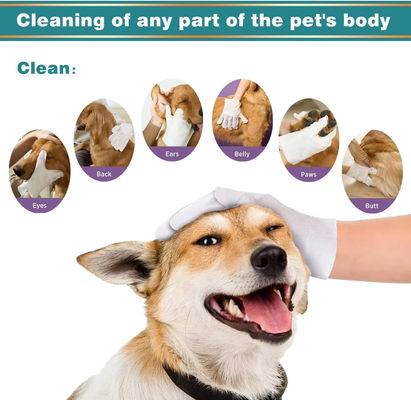 Portable Convenient Pet Cleaning Tools Non Woven Pet Wipe Gloves For Cats And Dogs