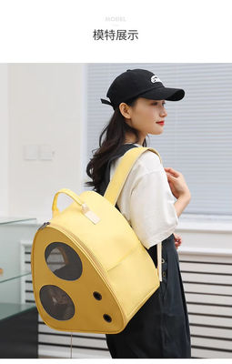 Luxury Pet Carrier Bag Travel Airline Approved Dog Cat Travel Backpack With Window
