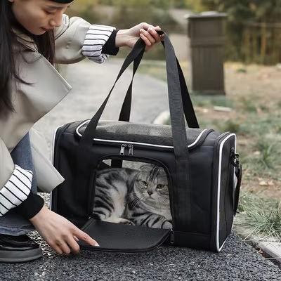 Canvas Polyester Outing Foldable Dog Backpack Travel Cat Carrier Shoulder Bag