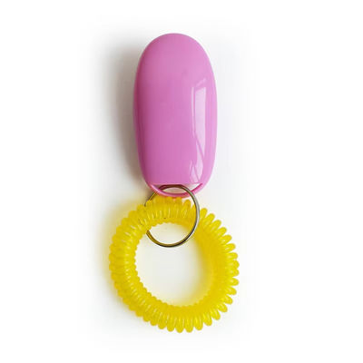 Multi Color Interactive Pet Training Whistle High Tone Plastic Dog Whistle With Lanyard