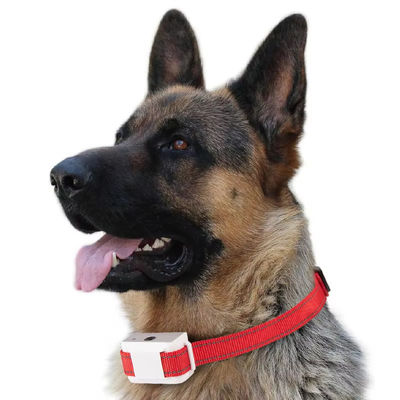 Rechargeable Auto Pet Anti Bark Spray Collar Dog Training Device ABS Material