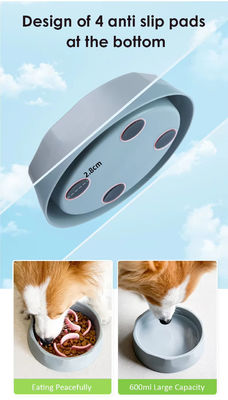 Foldable Silicone Pet Food And Water Bowl Collapsible Travel Slow Feeder Dog Bowl