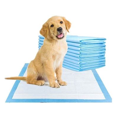 OEM Pet Accessories Leak Proof Diaper Pad Disposable Puppy Training Pads