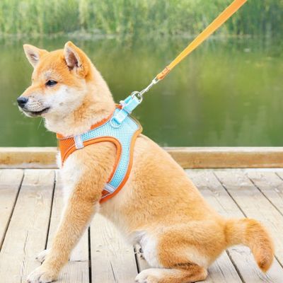 Breathable Mesh Vest Pet Leash Reflective Chest Harness dog cat collar Walking Pet Leash With Reflective Strips
